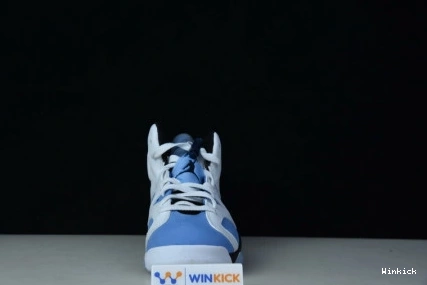 AIR "UNC" JORDAN CT8529-410 6 RETRO 1110